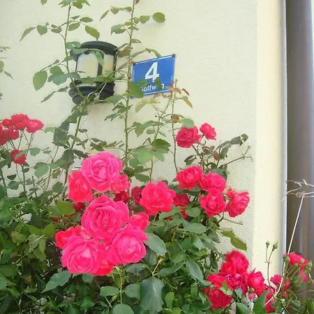 Steger Apartament