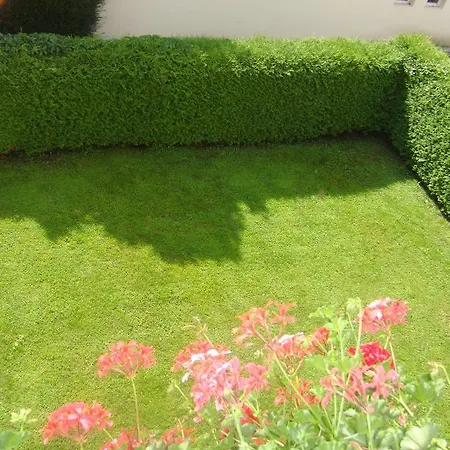 Steger * 博登斯多夫